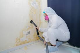 Best Commercial Mold Inspection  in Boonton, NJ